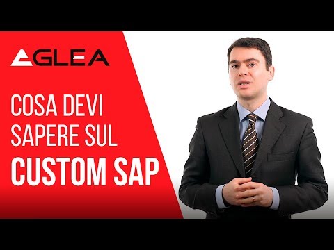 Cosa devi sapere sul Custom SAP