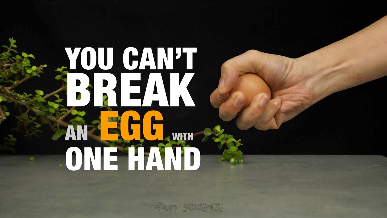 12 EGG EXPERIMENTS AND TRICKS