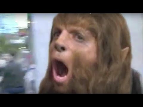 Shout - Tears For Fears dnb remix - 80s classic, modern twist. Werewolf-friendly.