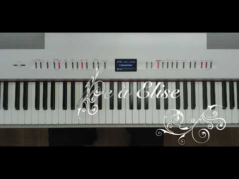 Piano Tutorial: Letter to Elise