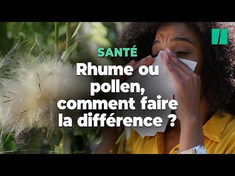 Rhume ou allergie au pollen ? Pourquoi vous toussez et éternuez