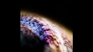 Emptyset – Skin (Full EP) [Thrill Jockey]
