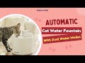 Introducing Happy Polly S Automatic Cat Water Fountain With Dual Water Modes