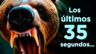 Últimos 35 segundos rumbo al peor desenlace - El ataque de un oso como nunca lo viste
