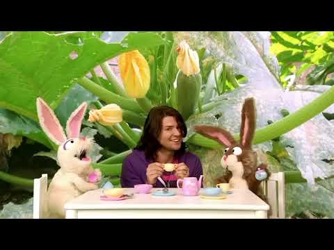 Taking Back Sunday - We All Love Our Pets (Reversed)