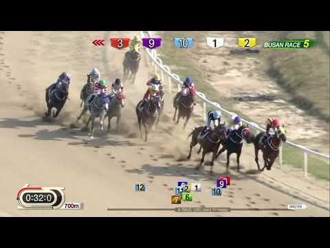 2018.04.29 Busan Ilbo Cup -- KOR Sprint Series 1st leg