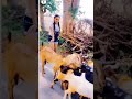 Sab To Mehngi Hundi H Masoomiyt