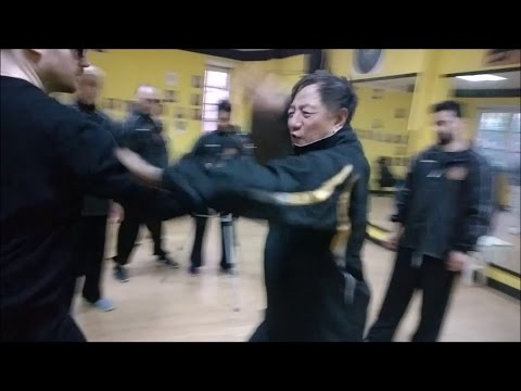 Tongbei Quan - Fight Techniques & Applications II - GM Guan Tieyun - M Falanga 2017