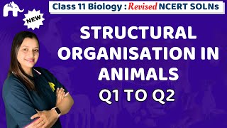 Structural Organisation in Animals Class 11 Biology | Revised NCERT Solutions | Chapter 7 Questions