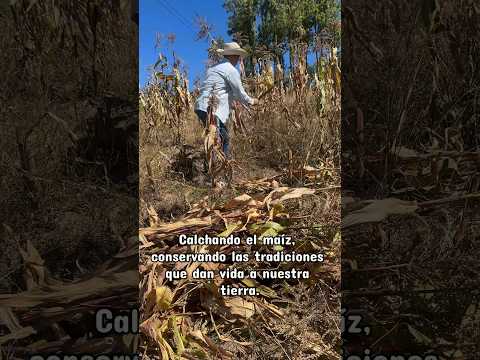 El Paso, Nabón, donde las tradiciones del campo siguen uniendo generaciones