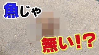 まさかの生き物が釣れた!?