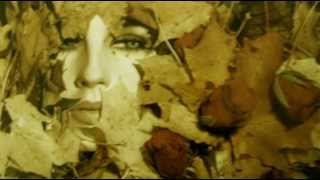 Processory - I'm Limited in Vision
