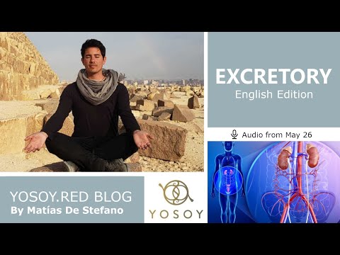 Day 296 - EXCRETORY - Matías De Stefano - YOSOY.RED BLOG: Sacral-Physical-Taurus, Read by Carey 5/26