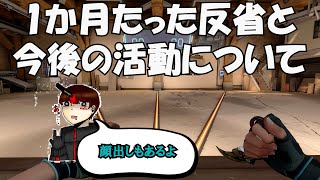 動画投稿再開1か月たった反省と今後の活動について