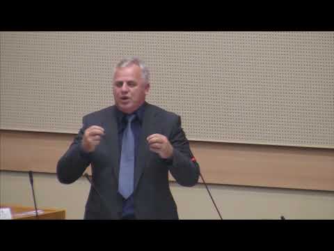 Vlast samo gleda licnu korist \ Miladin Stanic - NSRS (BN Televizija 2019)