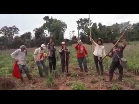 LA VOZ DE VERDADEROS AGRICULTORES🇵🇾.. Distrito Buena Vista, CAAZAPÁ.. Salud compatriotas 👩‍🌾🙏