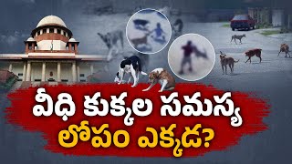 SC Slams States Over Street Dog Attacks | Why India’s Stray Dog Crisis Is Alarming || Idi Sangathi