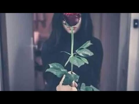 CALLE SANTA// DEJANDOTE EN EL PASADO// VIDEO OFICIAL