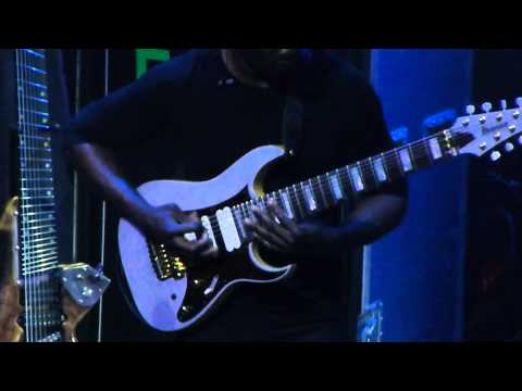 Waves of Babies - Animals as Leaders - Progressive Nation at Sea (Stardust)