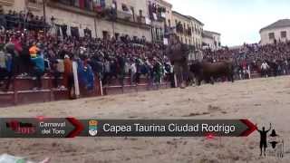 preview picture of video 'Excursión Ciudad Rodrigo 2015 La capea y el Desencierro (Parte 2 de 3)'