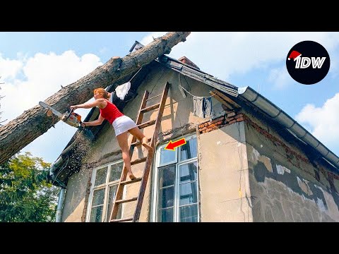 TOTAL IDIOTS AT WORK #790 | Instant Regret Fails Compilation 2025 | Best of the Week