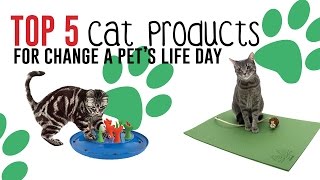 Top 5 Cat Products For Change A Pet's Life Day