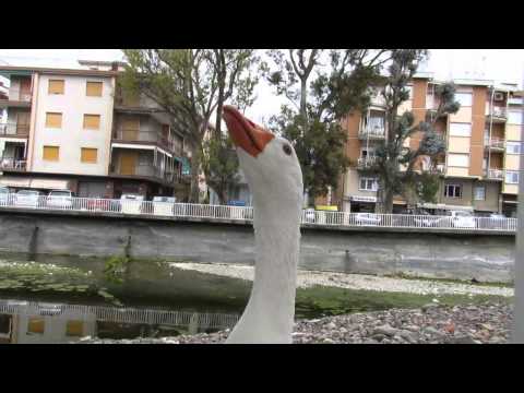 На море. Лигурия. Liguria. Diano Marina