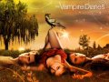 The Vampire Diaries - Soundtrack ~ I´m not alone ...