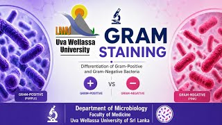 Gram Staining