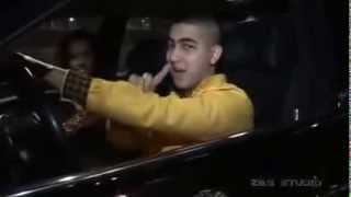 Kis Grofó  -  Gigolo