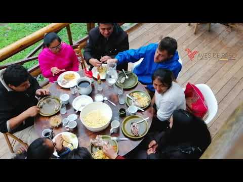 Oft Gefragt - AnnenMayKantereit