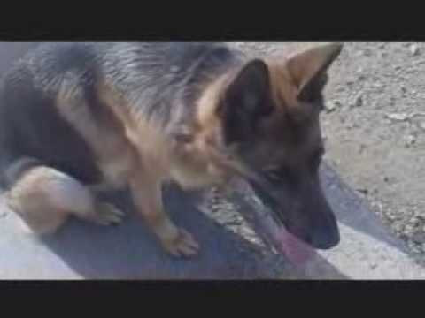 kızımla huzur dolu sabah gezmeleri .wmv