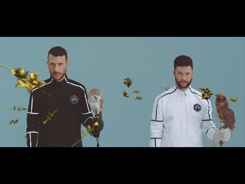 Don Diablo ft. Calum Scott - Give Me Love | Official Music video