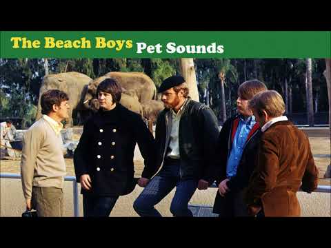 The Beach Boys - Hang On to Your Ego (Instrumental)