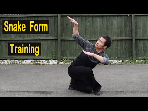 Shaolin Kung Fu Wushu Snake Style Training ????