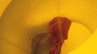 Rien dans les mains, rien dans les poches