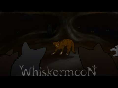 Warriors AMV - Gonna Go Far Kid - Power of Three UNFINISHED