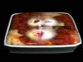 The Pasta Song