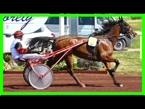 PMU Résultat Quinté de la course GRAND NATIONAL DU TROT PARIS-TURF
