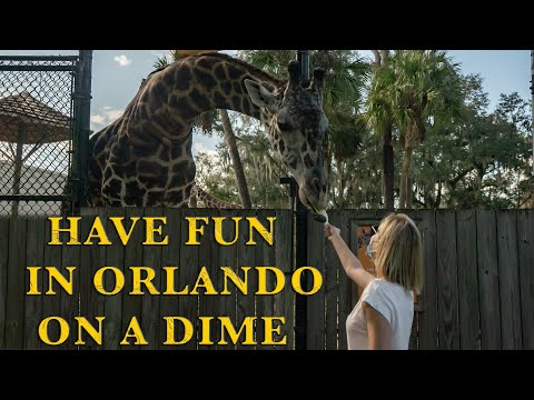 Top things to do  in Orlando, FL (under $20) | Part 1