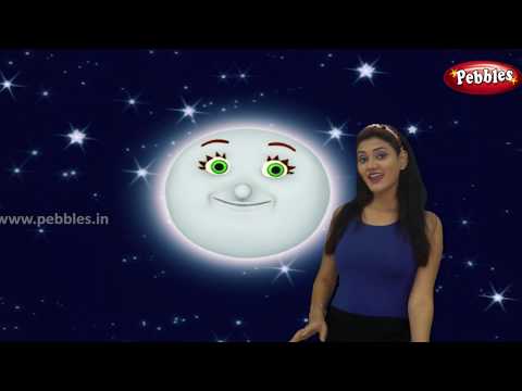 New Marathi Song | Evli Evli Chandni | Chan Marathi Balgeet | Marathi Rhymes Children | मराठी गाणी