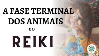 ENTENDA A FASE TERMINAL DOS ANIMAIS