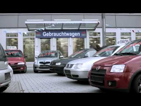 Lustiges Video Rechtsanwälte