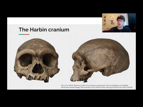 <p><span style="background-color: transparent; color: rgb(0, 0, 0);">The Dragon Man Revisited: Hominin Phylogenetic Inference with Rogue Taxa and Incomplete Datasets</span></p>