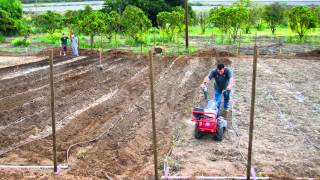 Saddleback Church's Organic Farm in Orange County