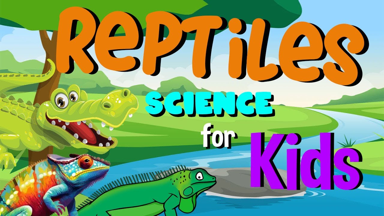 Reptiles | Science for Kids