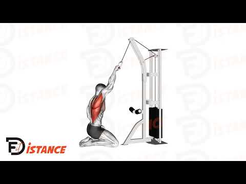 Exercice Tirage unilatéral à la poulie haute à genoux