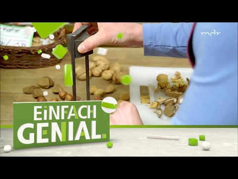 Effektiv und spielerisch: Die Guillotine für Nüsse | Einfach genial | MDR