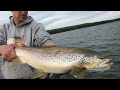 Video Thumbnail for Giant Alberta Brown Trout