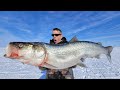 4 Day Fishing Hunting Catch Cook In An Inuit Village Best Ice Fishing In The World